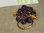 V&A Grape vine Charm Ring mit Weinrebe Weintrauben